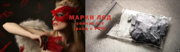 PSILOCYBIN Заволжск