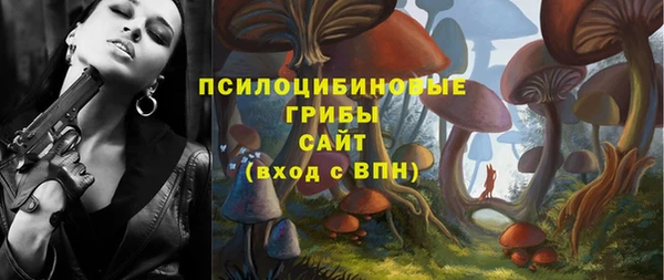 PSILOCYBIN Заволжск