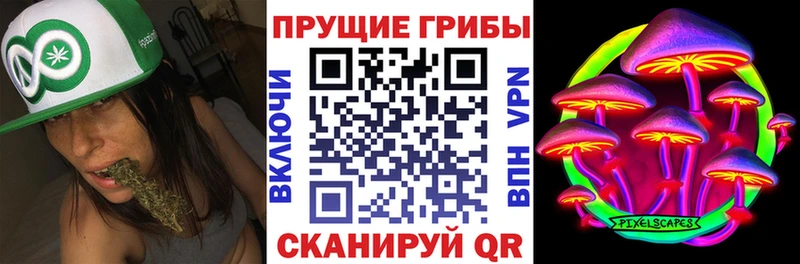 Псилоцибиновые грибы GOLDEN TEACHER  купить  цена  Калач 